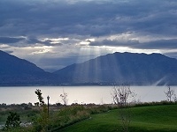 Box Elder in Saratoga Springs, UT